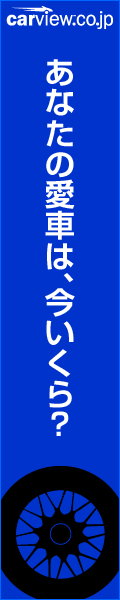 �J�[�r���[�����ꊇ����